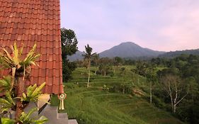 Padi Bali Jatiluwih